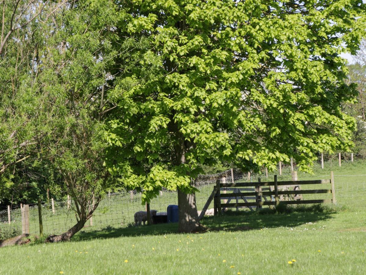 Goathland Holiday home *